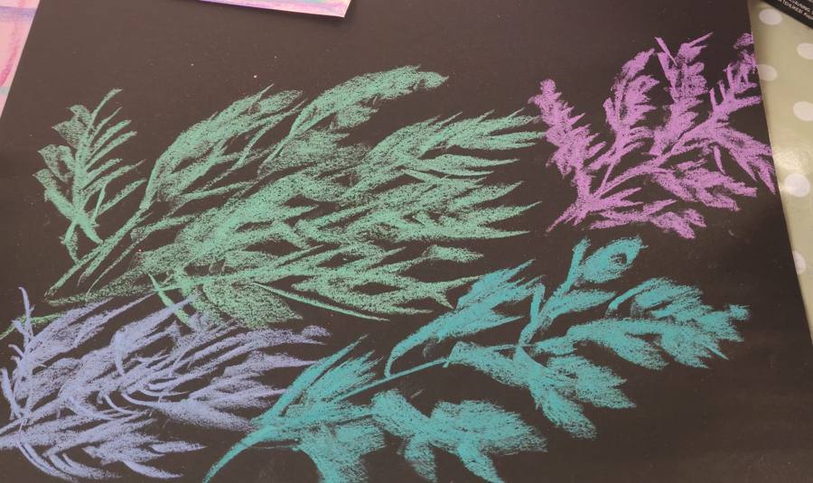 Chalk drawings of leaves in green, teal and lilac on black paper